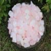 Wholesale Bulk 1/2 lb Rough Natural Pink Calcite (Raw Crystal Healing 8 oz) view 2