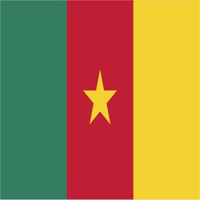 Cameroon Flag Magnets | 2-Pack | 5-Inches by 3-Inches | Premium Quality Heavy Duty 30MIL Magnetic Prints | MagnetPD399