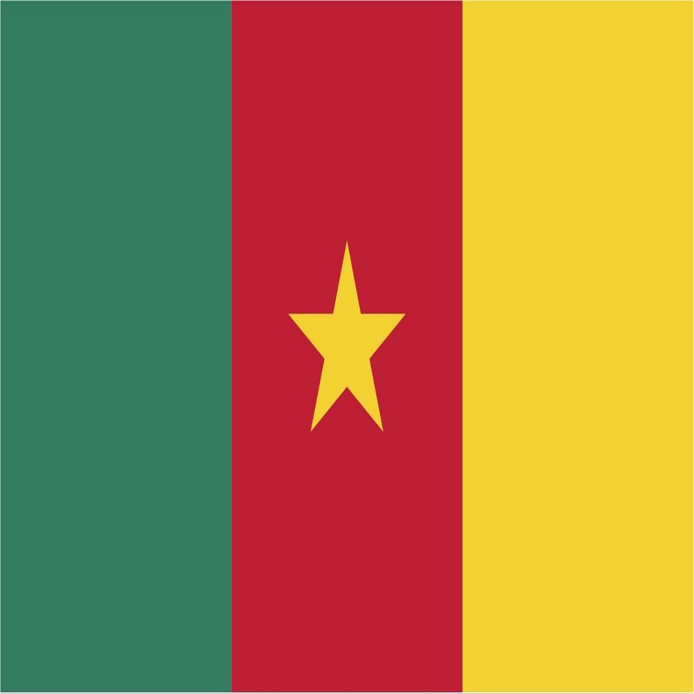 Cameroon Flag Magnets | 2-Pack | 5-Inches by 3-Inches | Premium Quality Heavy Duty 30MIL Magnetic Prints | MagnetPD399