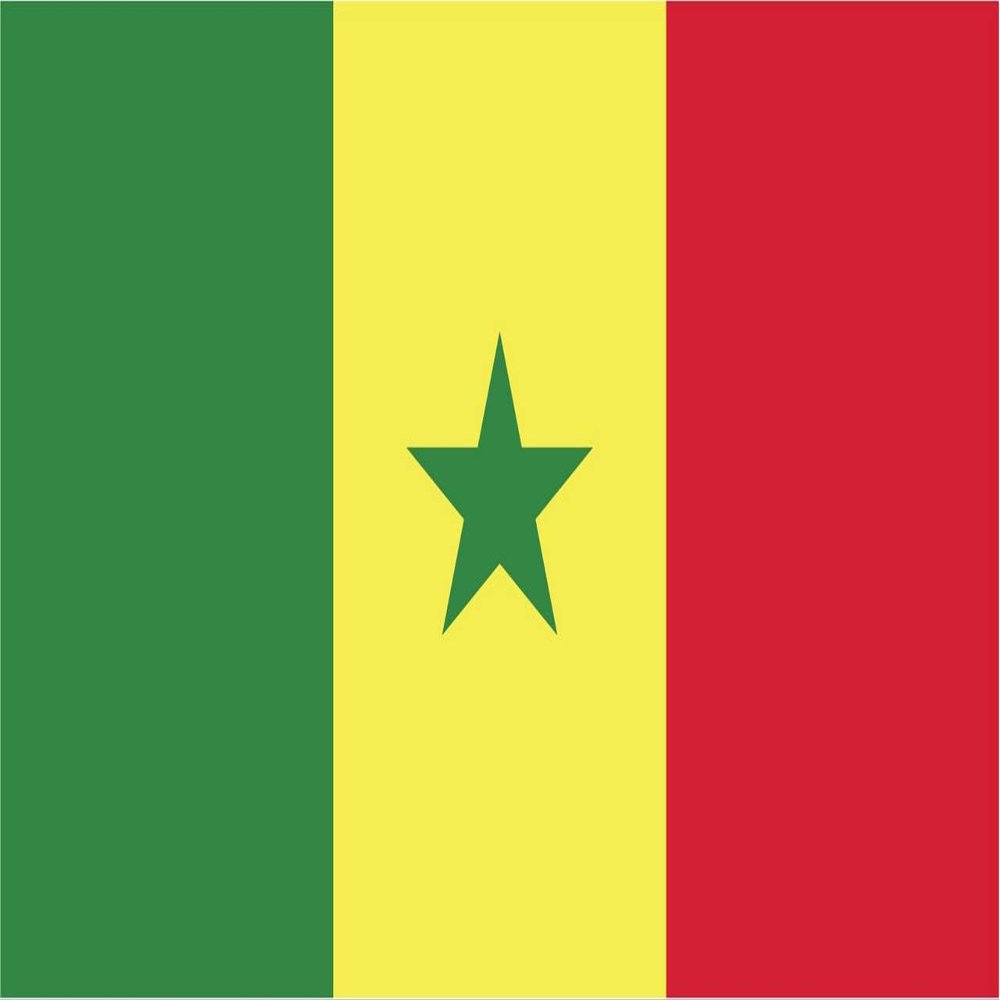 Senegal Flag Magnets | 2-Pack | 5-Inches by 3-Inches | Premium Quality Heavy Duty 30MIL Magnetic Prints | MagnetPD526