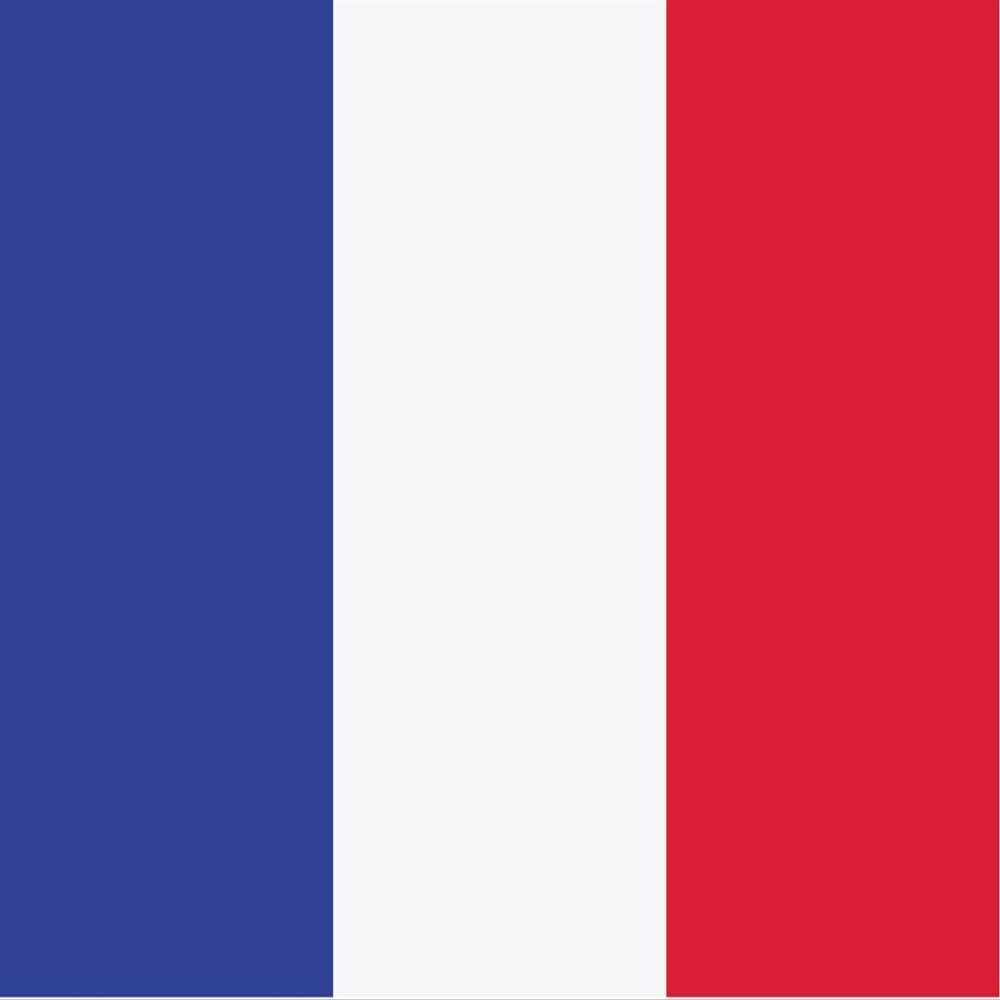 France Flag Magnets | 2-Pack | 5-Inches by 3-Inches | Premium Quality Heavy Duty 30MIL Magnetic Prints | MagnetPD431