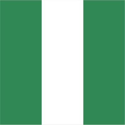 Nigeria Flag Magnets | 2-Pack | 5-Inches by 3-Inches | Premium Quality Heavy Duty 30MIL Magnetic Prints | MagnetPD499