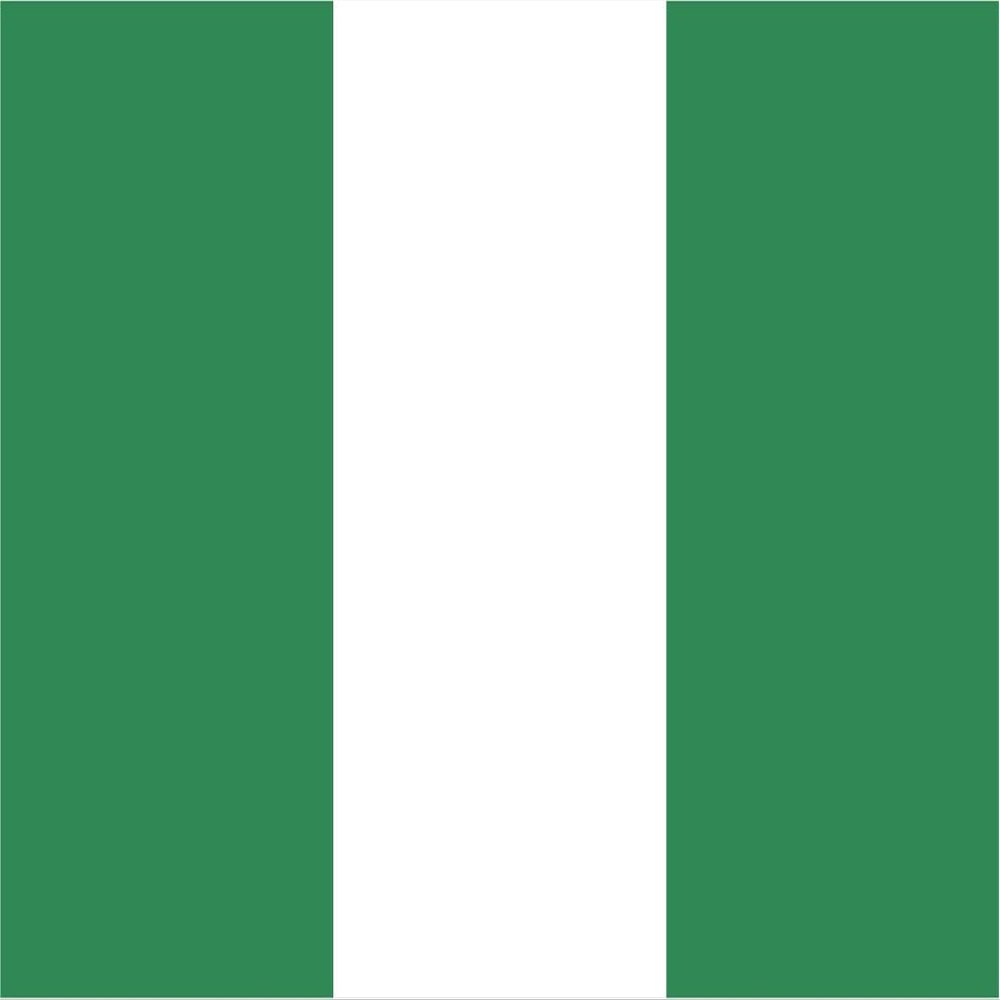 Nigeria Flag Magnets | 2-Pack | 5-Inches by 3-Inches | Premium Quality Heavy Duty 30MIL Magnetic Prints | MagnetPD499
