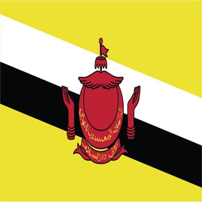 Brunei Flag Magnets | 2-Pack | 5-Inches by 3-Inches | Premium Quality Heavy Duty 30MIL Magnetic Prints | MagnetPD395