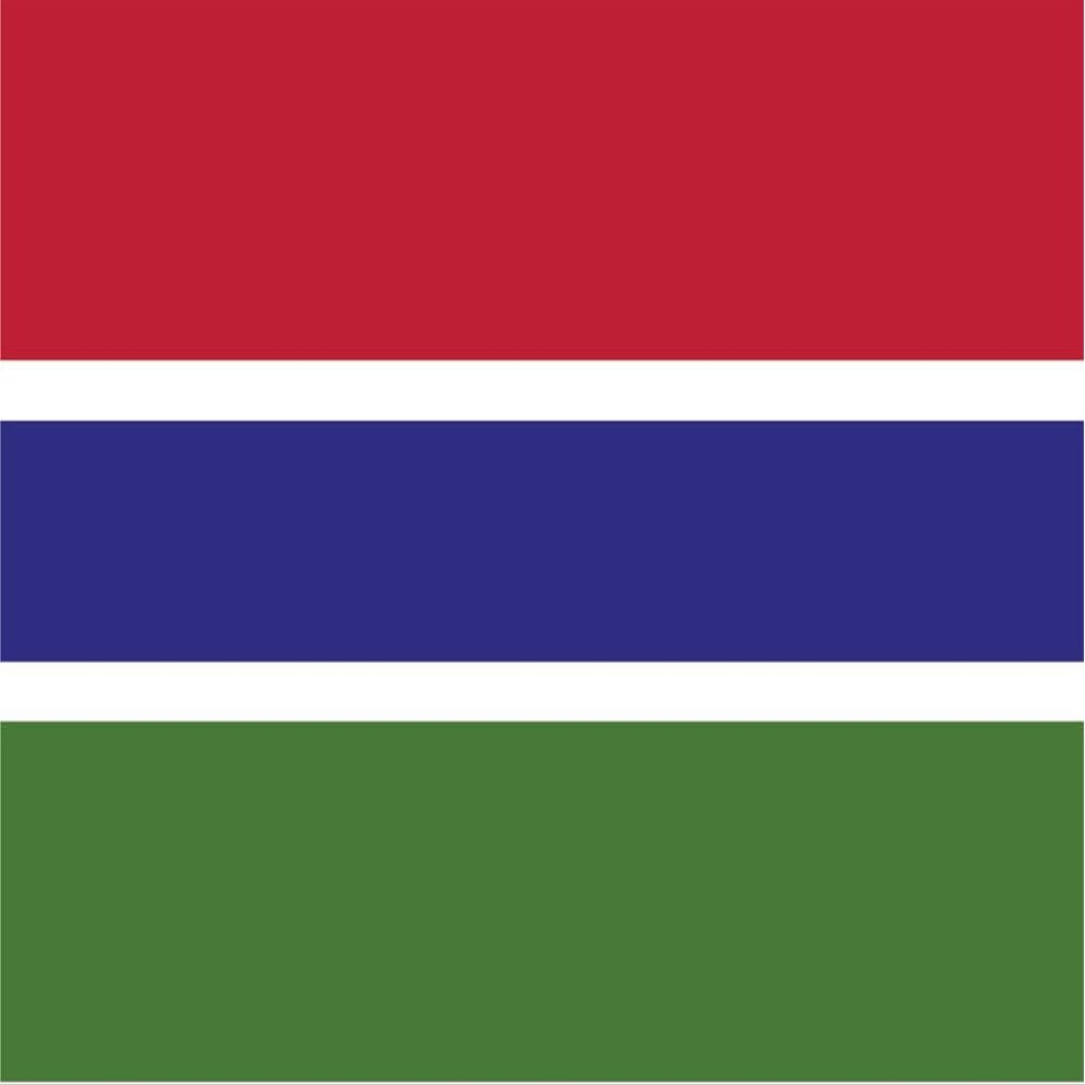 Gambia Flag Magnets | 2-Pack | 5-Inches by 3-Inches | Premium Quality Heavy Duty 30MIL Magnetic Prints | MagnetPD433