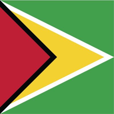 Guyana Flag Magnets | 2-Pack | 5-Inches by 3-Inches | Premium Quality Heavy Duty 30MIL Magnetic Prints | MagnetPD441