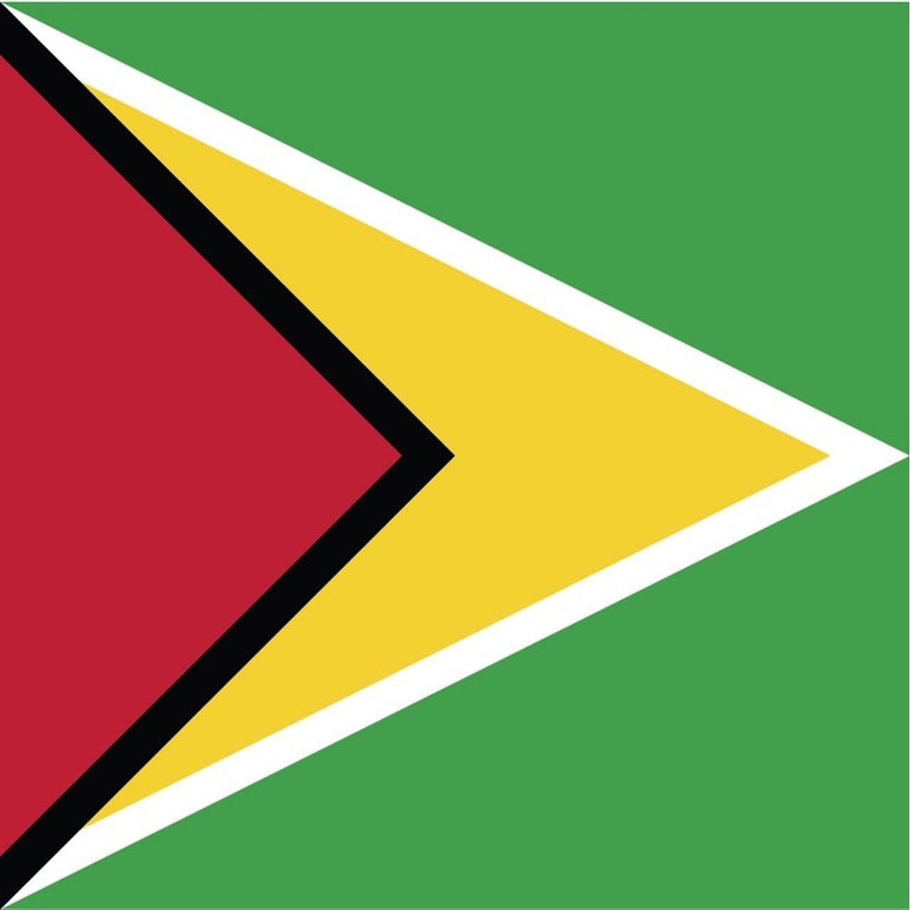 Guyana Flag Magnets | 2-Pack | 5-Inches by 3-Inches | Premium Quality Heavy Duty 30MIL Magnetic Prints | MagnetPD441