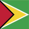 Guyana Flag Magnets | 2-Pack | 5-Inches by 3-Inches | Premium Quality Heavy Duty 30MIL Magnetic Prints | MagnetPD441 view 1