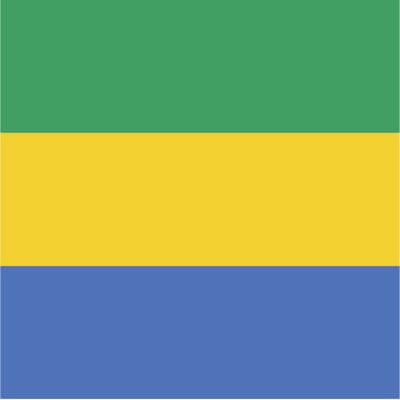 Gabon Flag Magnets | 2-Pack | 5-Inches by 3-Inches | Premium Quality Heavy Duty 30MIL Magnetic Prints | MagnetPD432