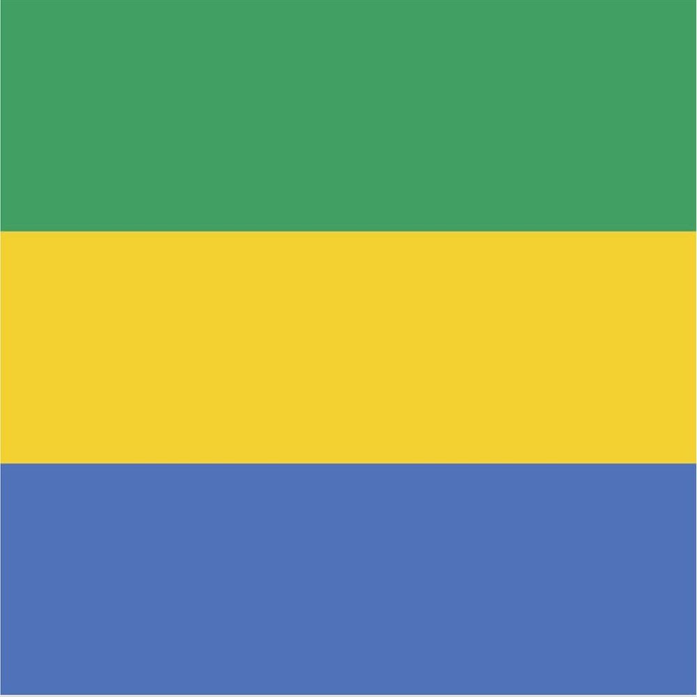 Gabon Flag Magnets | 2-Pack | 5-Inches by 3-Inches | Premium Quality Heavy Duty 30MIL Magnetic Prints | MagnetPD432
