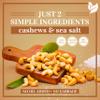 Oven Dry Roasted Fancy Cashews with Sea Salt-32 oz (2 lbs)|Whole Cashew|No Oil|No PPO|Vegan and Keto Friendly|Made from Natural Cashews view 4