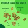Raw Pumpkin Seeds (Papitas) 32 oz (2 lb) | No Preservatives | Batch Tested Gluten & Peanut Free | Non-GMO | NO PPO | 100% Natural | Resealable Bag | BULK Size | Healthy | Premium Grade view 3