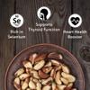 Premium Wild Harvested Dry Roasted Brazil Nuts with Sea Salt, 1 lb (16 oz)  High Selenium, Batch Tested Peanut & Gluten Free, Non-GMO, Kosher, Resealable Bag view 3