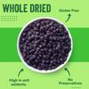 Dried Blueberries 4 lb (64 oz)  Gluten-Free & Peanut-Free, Slightly Sweetened  Great for Baking & Snacking  Berries with Benefits view 2