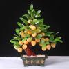 YUHUAWF Artificial Bonsai Bonsai Tree Fake Plants Topaz Jade Flat Peach Tree Artificial Jade Longevity Peach OrnamentsTree Decoration for Home Indoor/Outdoor for Home Office view 3