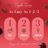 Triple Scoop - Premium Cherry Choc Chip Ice Cream Mix For Ice Cream Maker. Simple, Easy, Delicious. From Gourmet Mix To Maker in 5 Min, Makes 2 Creamy Qrts, Made in USA (1 Pack, Cherry Choc Chip) view 4