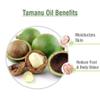 Crysalis Tamanu (Calophyllum inophyllum) Oil - 1.01 Fl Oz (30ml) view 3