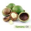 Crysalis Tamanu (Calophyllum inophyllum) Oil - 0.51 Fl Oz (15ml) view 2
