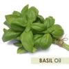 Crysalis Basil (Ocimum basilicum) Oil - 3.38 Fl Oz (100ml) view 2