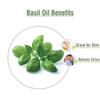 Crysalis Basil (Ocimum basilicum) Oil - 3.38 Fl Oz (100ml) view 3