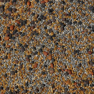 No-Till Cover Crop 13-Seed Mix: 50% Clovers Plus Fenugreek, Vetch, Flax, Cowpeas, Buckwheat, Forage Peas, Millet, Lentils (5-lb. Bag (Five Pound)