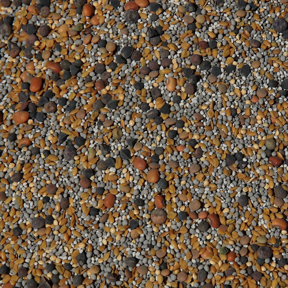 No-Till Cover Crop 13-Seed Mix: 50% Clovers Plus Fenugreek, Vetch, Flax, Cowpeas, Buckwheat, Forage Peas, Millet, Lentils (5-lb. Bag (Five Pound)