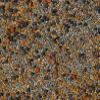 No-Till Cover Crop 13-Seed Mix: 50% Clovers Plus Fenugreek, Vetch, Flax, Cowpeas, Buckwheat, Forage Peas, Millet, Lentils (5-lb. Bag (Five Pound) view 1