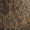 No-Till Cover Crop 13-Seed Mix: 50% Clovers Plus Fenugreek, Vetch, Flax, Cowpeas, Buckwheat, Forage Peas, Millet, Lentils (5-lb. Bag (Five Pound) view 2