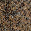 No-Till Cover Crop 13-Seed Mix: 50% Clovers Plus Fenugreek, Vetch, Flax, Cowpeas, Buckwheat, Forage Peas, Millet, Lentils (5-lb. Bag (Five Pound) view 3