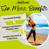 Advanced Bionetix Organic Irish Sea Moss Capsules, Raw Wildcrafted Seamoss Enhanced w/Bladderwrack & Burdock Root Capsules 120 Total Pills Antioxidant Packed. Prebiotic Superfood, Thyroid Support view 3