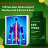 Advanced Bionetix Organic Irish Sea Moss Capsules, Raw Wildcrafted Seamoss Enhanced w/Bladderwrack & Burdock Root Capsules 120 Total Pills Antioxidant Packed. Prebiotic Superfood, Thyroid Support view 4