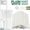 [300 Pack] Biodegradable 10 Inch Long Giant Paper Drinking Straws 8mm Wide - Individually Wrapped, Plain White view 2
