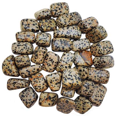 Apex Magnets Dalmation Jasper - Tumbled - 1lb - 1/2 to 1 inch Pieces - Bulk Lot - lb Pound