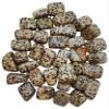Apex Magnets Dalmation Jasper - Tumbled - 1lb - 1/2 to 1 inch Pieces - Bulk Lot - lb Pound view 1