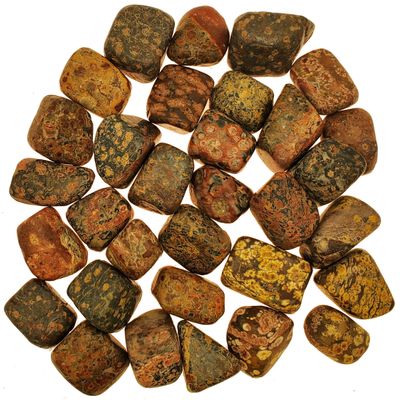 Apex Magnets Leopard Skin Jasper - Tumbled - 1/2 to 1 inch Pieces - Bulk Lot - lb Pound