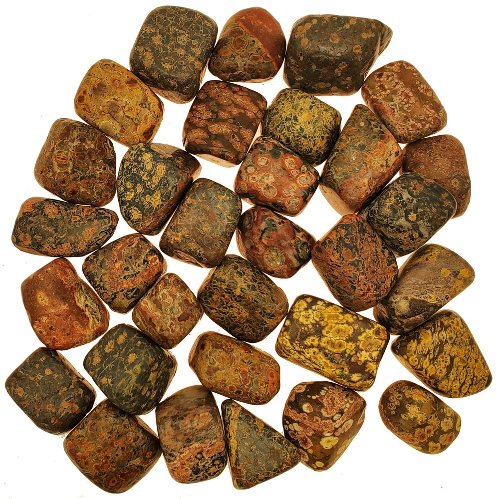 Apex Magnets Leopard Skin Jasper - Tumbled - 1/2 to 1 inch Pieces - Bulk Lot - lb Pound