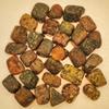 Apex Magnets Leopard Skin Jasper - Tumbled - 1/2 to 1 inch Pieces - Bulk Lot - lb Pound view 2
