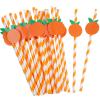 Vesici 100 Pcs Orange White Striped Paper Straws Cute Fruit Themed Disposable Drinking Straws for Baby Shower Birthday Carnival Summer Decoration Supplies Party 0.24 x 7.76 Inches view 1
