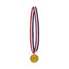 10M Tricolour Decorative Nylon Ribbon Red White Blue for Accessory Making Gift Wrapping National Celebrations (10M X 25MM) view 4