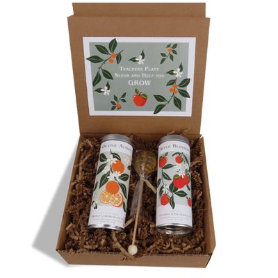 Apples & Oranges Teacher's Tea Gift Basket by La Tea Dah, Unique Teachers Appreciation Gifts, Two Assorted Flavors & One Honey Stirrer in Gift Box (12 Sachets)