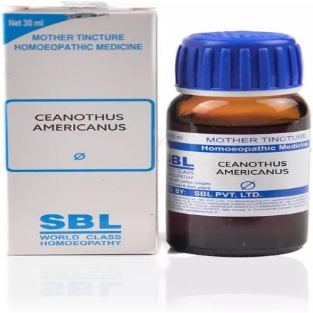 SBL Homeopathic Ceanothus Americanus Mother Tincture 1X (Q) (30ml)