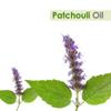 Crysalis Patchouli (Pogostemon cablin) Oil - 1.01 Fl Oz (30ml) view 2