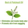Crysalis Patchouli (Pogostemon cablin) Oil - 1.01 Fl Oz (30ml) view 4