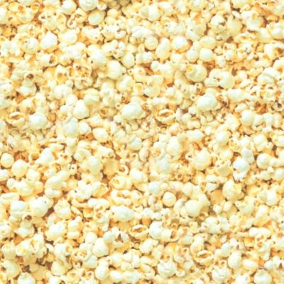 3 Wishes Amazement Park 18742 Yellow Popcorn