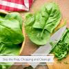Gourmet Chopped Dried Spinach Flakes by Its Delish, 1 lb Bulk Restaurant Gallon Size Container Jug with Handle  Premium Natural Dehydrated Spinach For Cooking, Camping, Backpacking - Easy To Use view 4