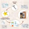 AKARZ Frangipani Essential Oil Natural Organic Pure Frangipani Oil for Skin Body Hair Care,Diffuser, Candle,Soap,Making, DIY,Massage Aroma 0.34 Fl Oz (10ml) view 2