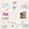 AKARZ Lotus Essential Oil Natural Organic Pure Premium Therapeutic Lotus Oil for Skin Body Hair Care,Diffuser, Candle,Soap,Making, DIY,Massage Aroma 0.34 Fl Oz (10ml) view 2