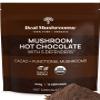 Real Mushrooms Organic Hot Chocolate Mix with Reishi, Turkey Tail, Chaga, Shiitake, Maitake  Cacao Powder Organic Mushroom 5 Defenders Mushroom Cacao Powder, Vegan, Gluten-Free, 15 Servings view 1