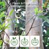 Organic Way Arjuna Bark Powder (Terminalia arjuna) - Organic & Kosher Certified | Raw, Vegan, Non GMO & Gluten Free | USDA Certified | Origin - India (1LBS / 16Oz) view 4