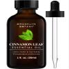 Brooklyn Botany Cinnamon Leaf Essential Oil - 100% Pure and Natural - Premium Grade Oil with Dropper - for Aromatherapy and Diffuser - 1 Fl Oz view 1